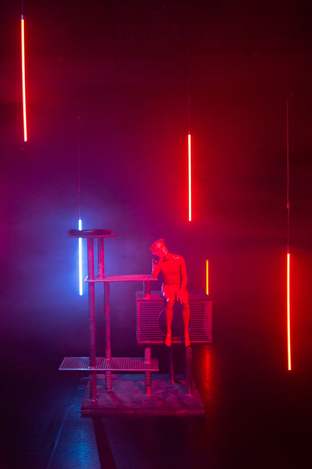 The dog in me, performance from Benjamin Egger